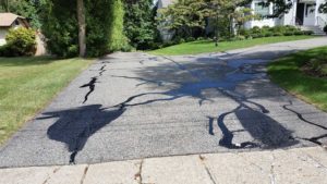 MSEAL photo of seal driveway