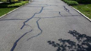 MSEAL photo of seal driveway